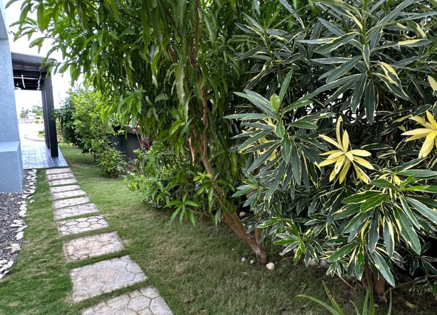 Villa Christine Ocho Rios Jamajka