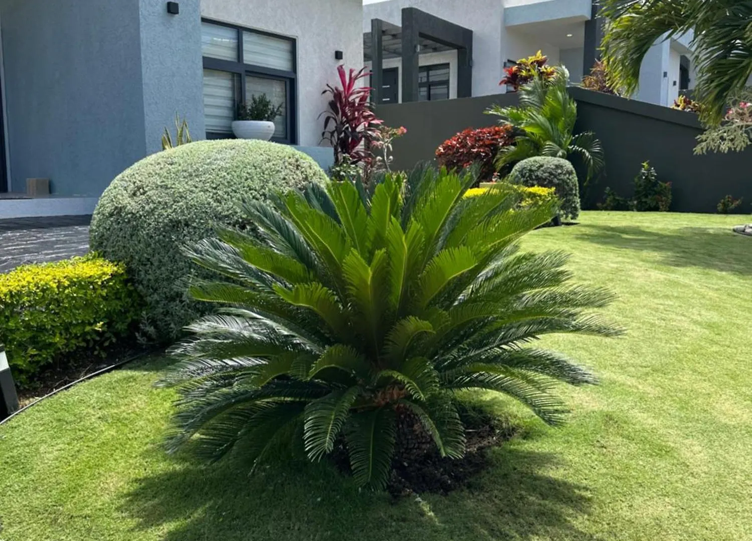 Villa Christine オーチョ・リオス
